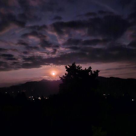 דירות זולצברג Stockreutehof מראה חיצוני תמונה