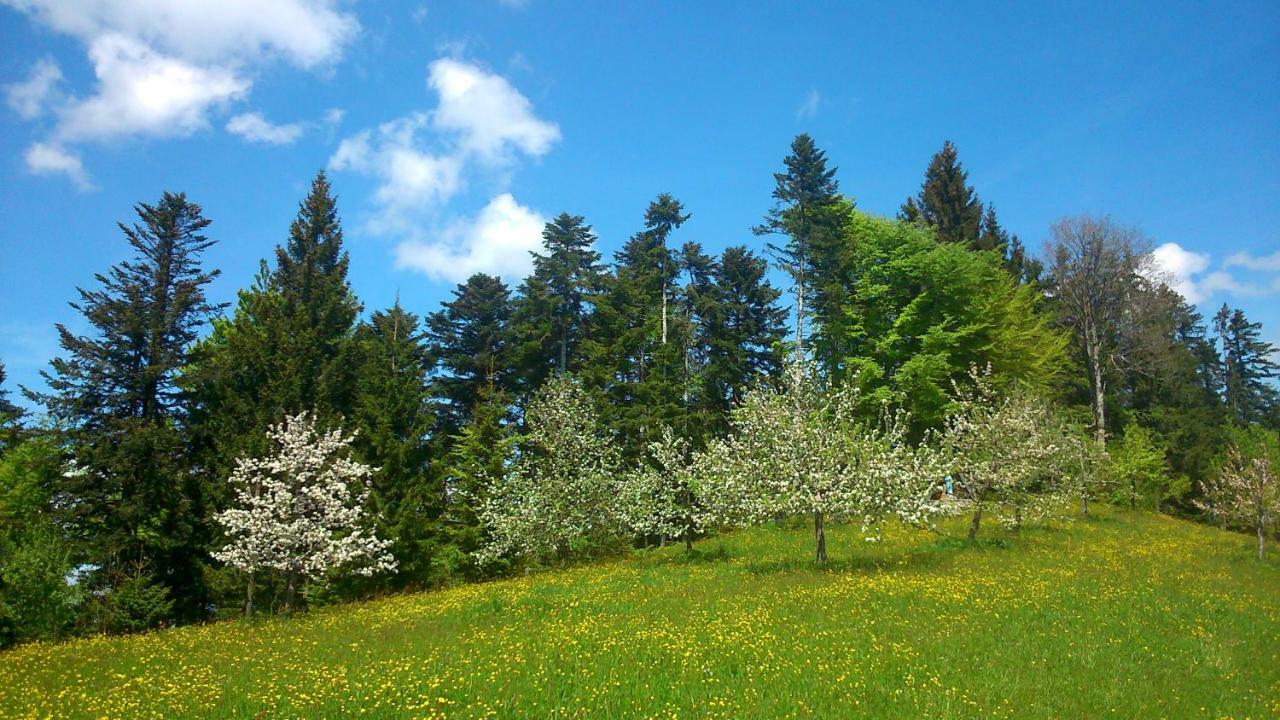 דירות זולצברג Stockreutehof מראה חיצוני תמונה